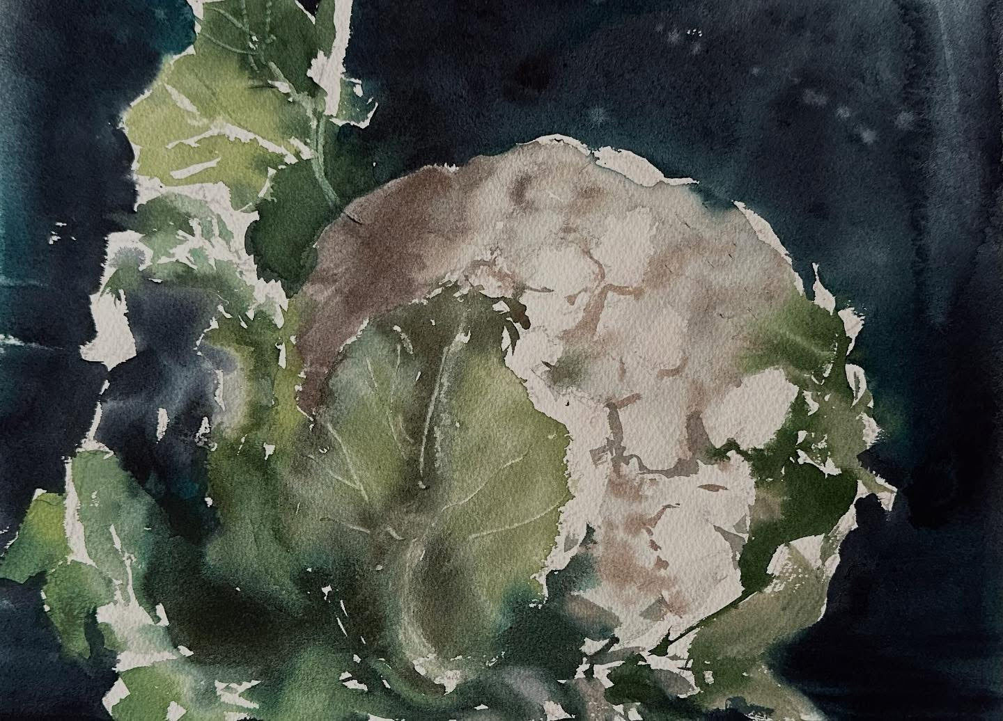 Animalistic & Flowers