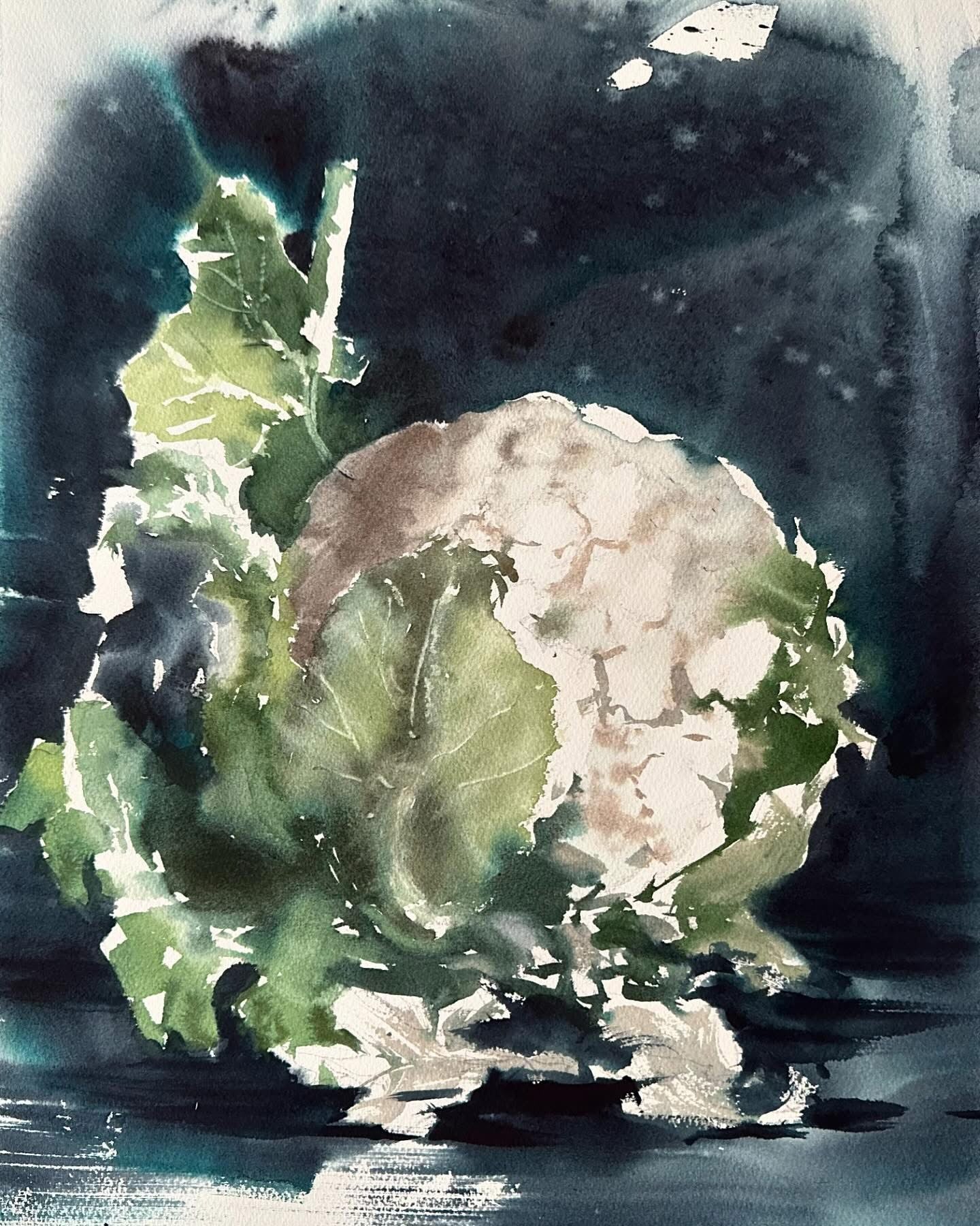 Animalistic & Flowers